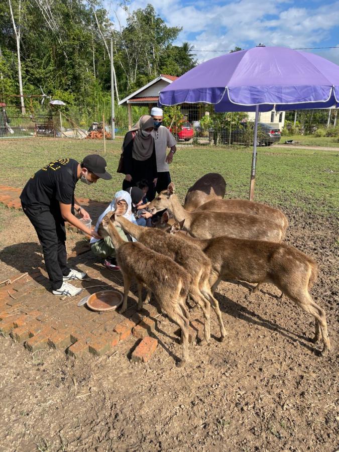 Hotel Branda Kampung Sumpitan Lenggong Tiada Sungai Kampong Ulu Jepai Exteriér fotografie