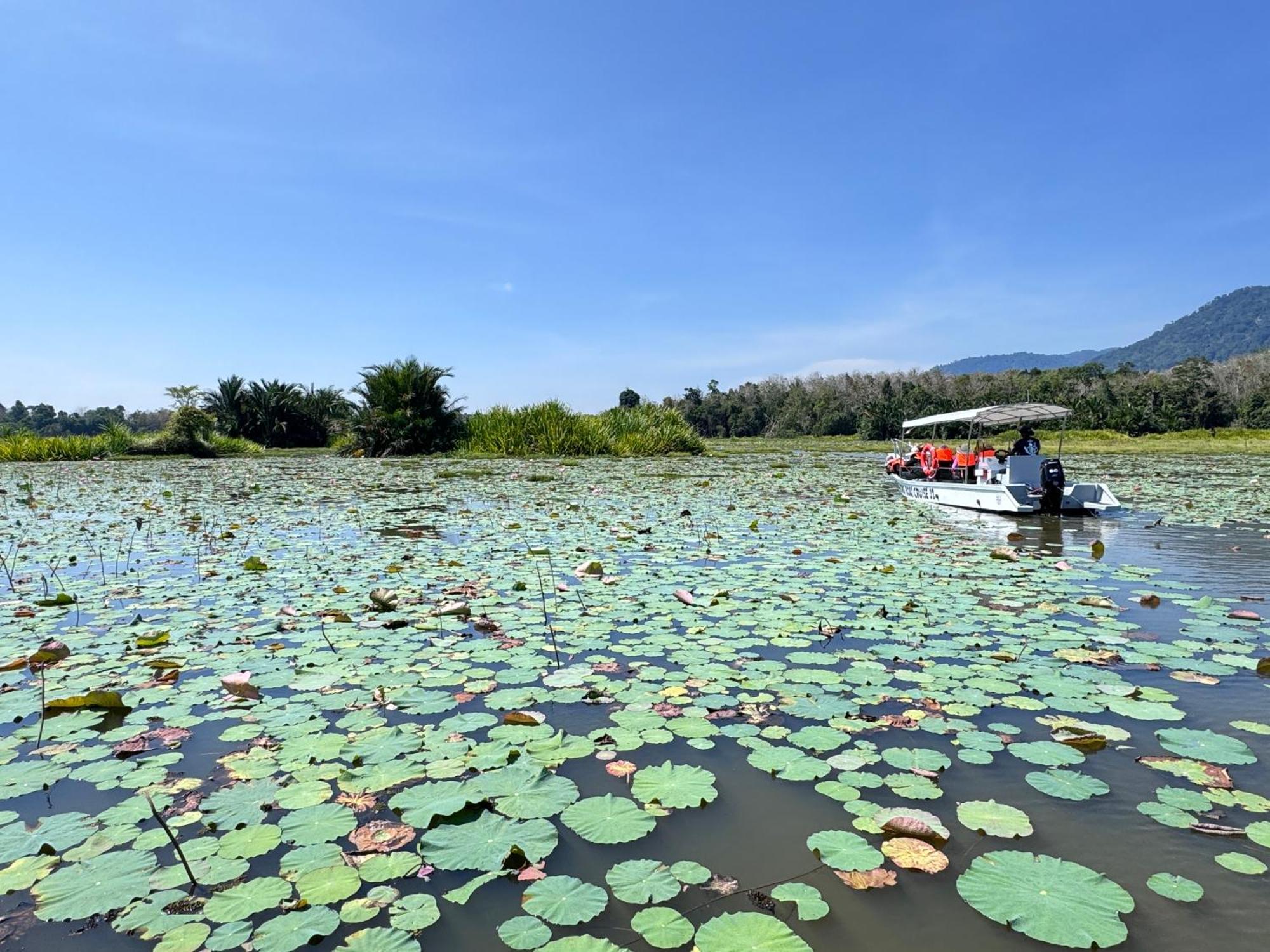 Hotel Branda Kampung Sumpitan Lenggong Tiada Sungai Kampong Ulu Jepai Exteriér fotografie