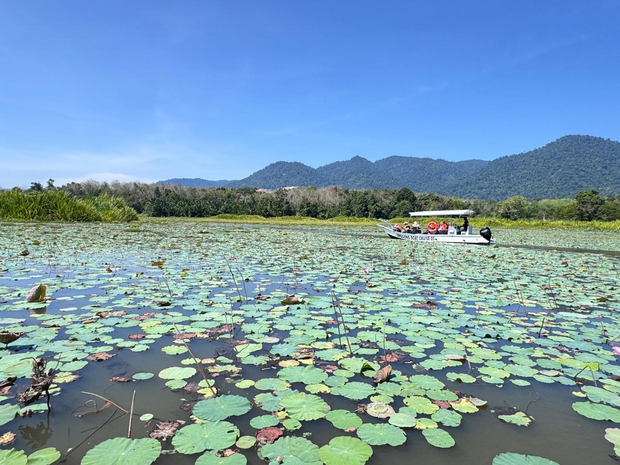 Hotel Branda Kampung Sumpitan Lenggong Tiada Sungai Kampong Ulu Jepai Exteriér fotografie